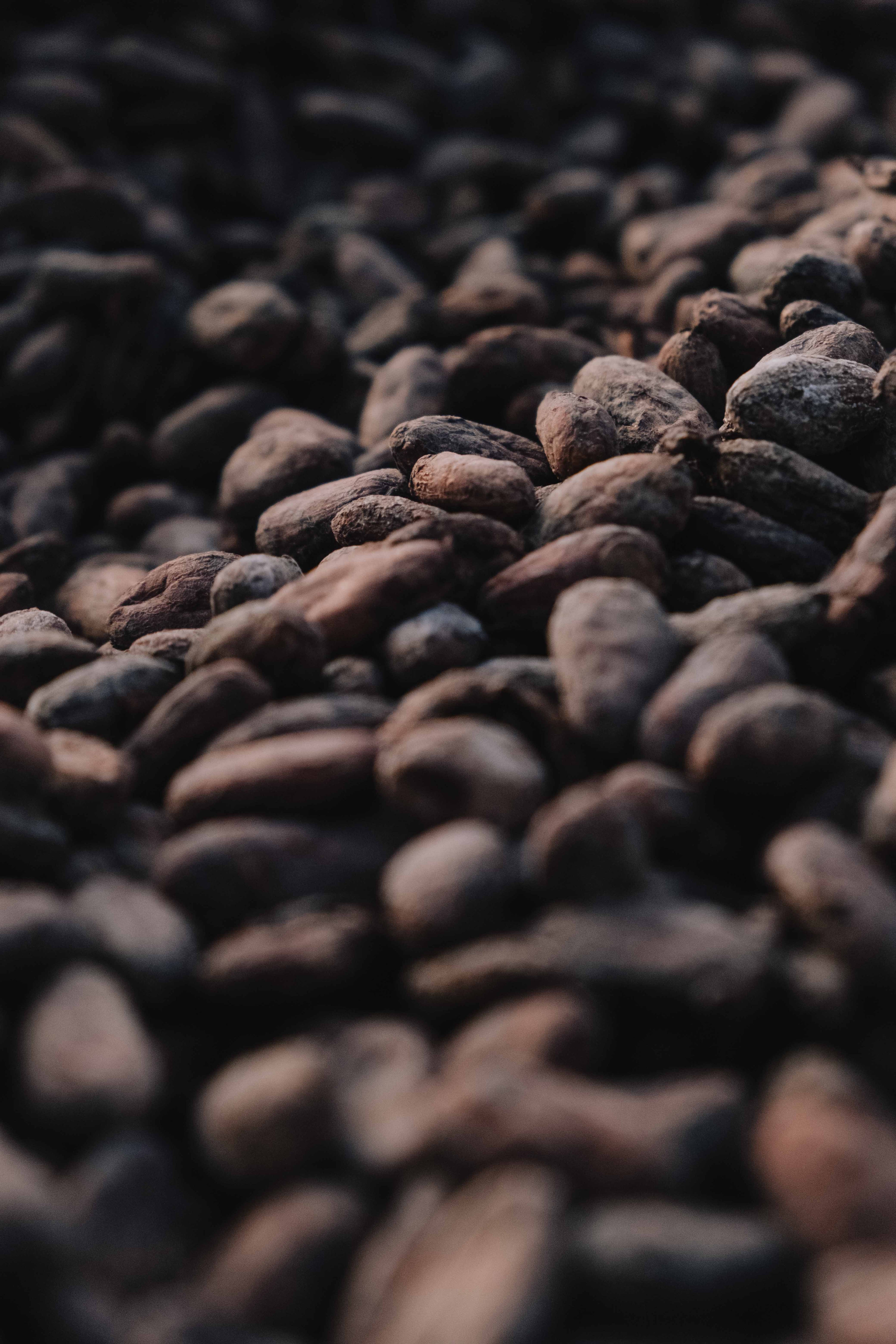 What is ceremonial cacao? A Beginner’s Guide