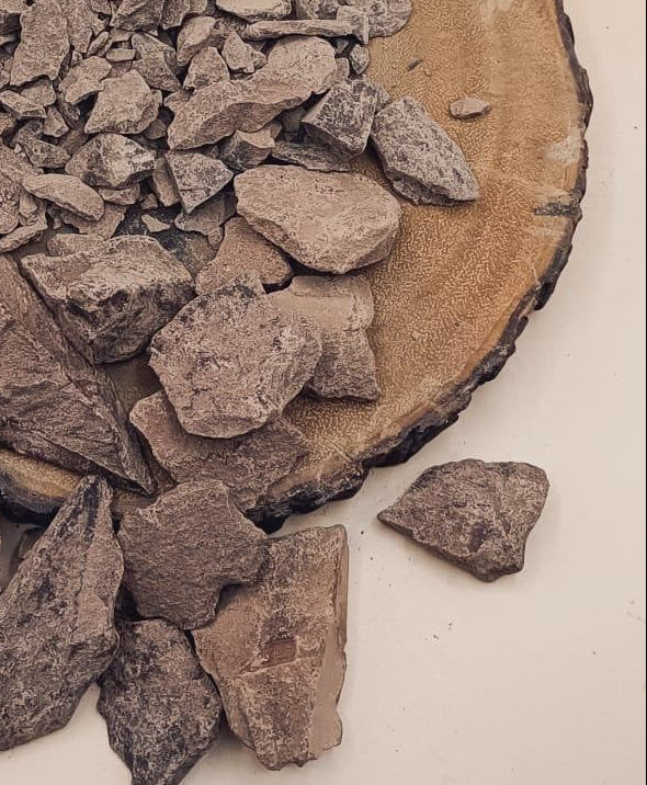 Collection of Cacao blocks on a wooden slice against a beige background