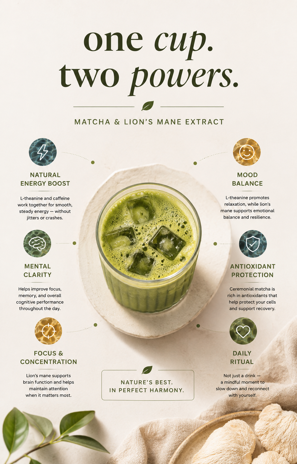 MATCHA & LION'S MANE BLEND