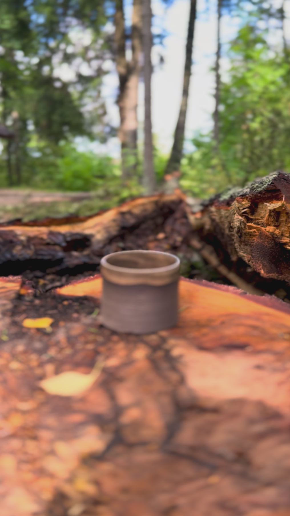 storm CUP